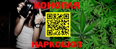 гашик Кингисепп