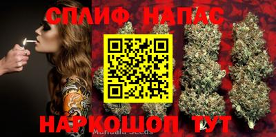 mdma Кандалакша