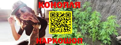 крисы Канаш