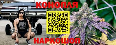 гашик Кингисепп